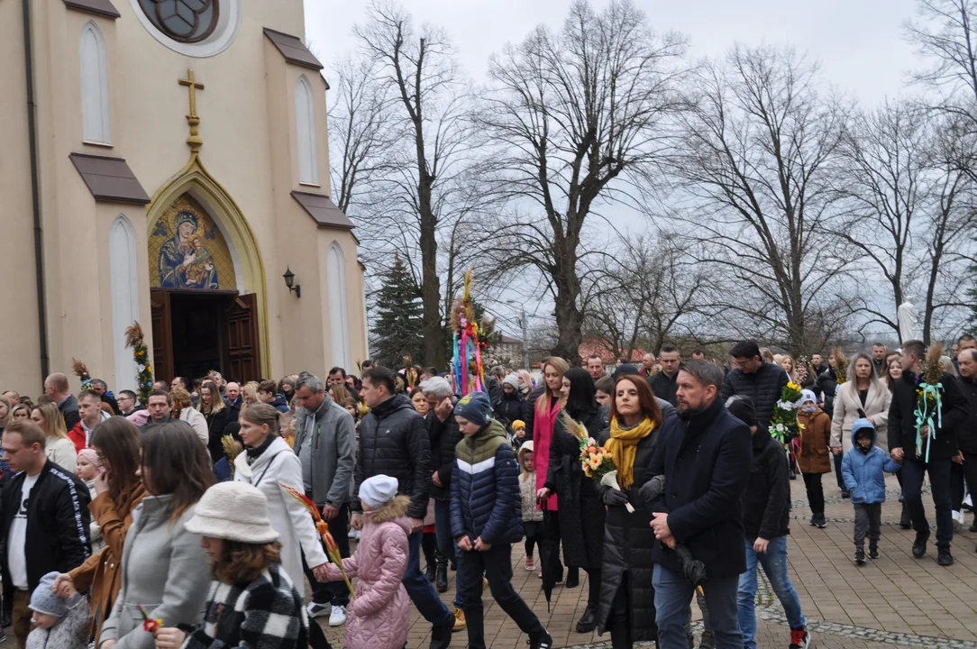 Parafianie w Przecławiu świętowali z pięknymi palmami własnego wykonania