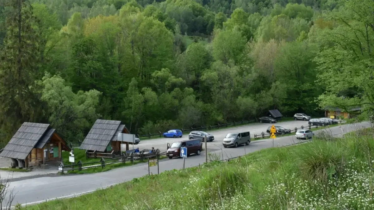 Bieszczady w maju, czyli cudowna harmonia przyrody i cisza górskiego krajobrazu [ZDJĘCIA] - Zdjęcie główne