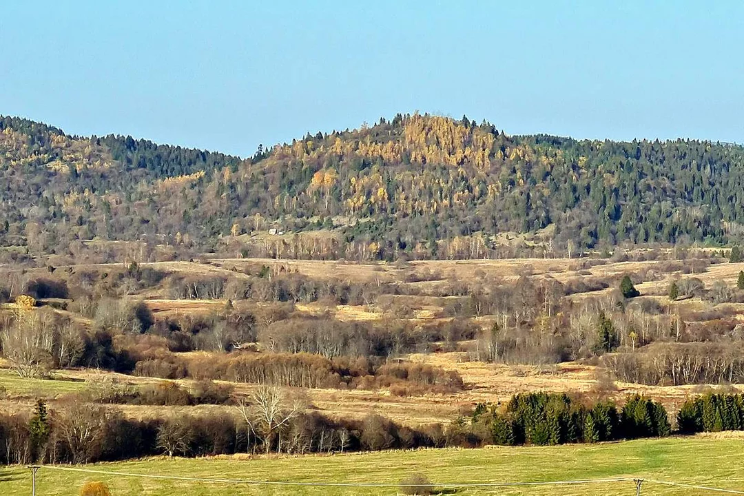 Dźwiniacz Górny. Opuszczona bieszczadzka wieś