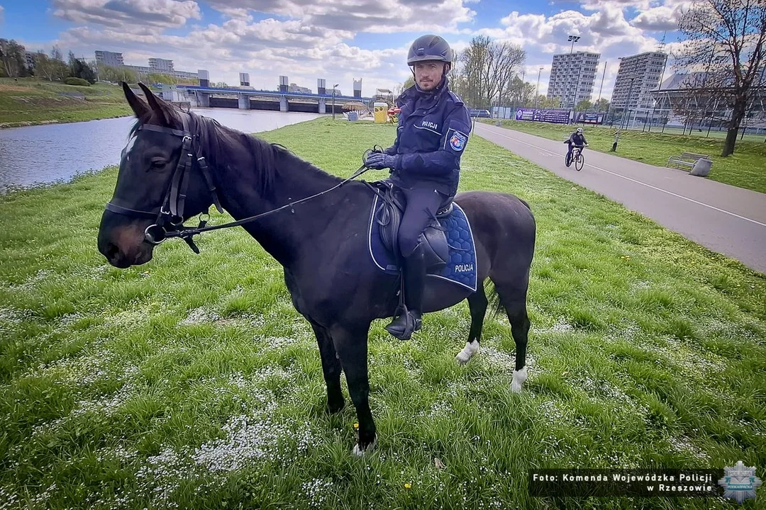 Patrole konne na Rzeszowskich Bulwarach
