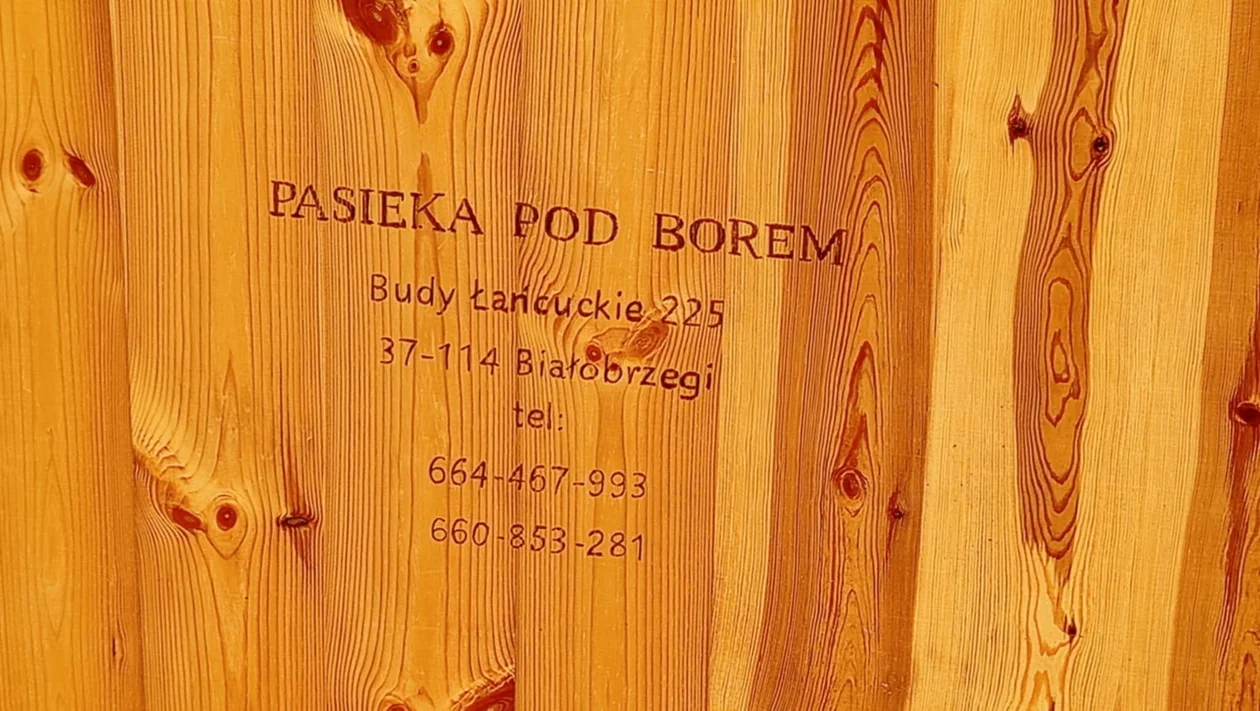 I więcej miodu