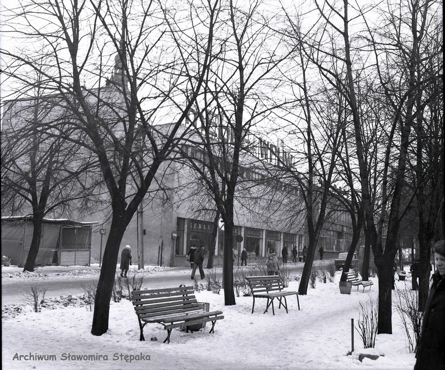 Tarnobrzeg dawniej. Archiwalne zdjęcia