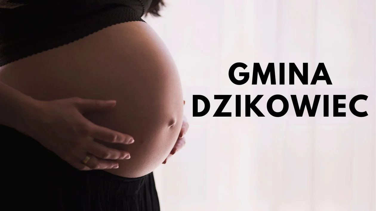 GMINA DZIKOWIEC 