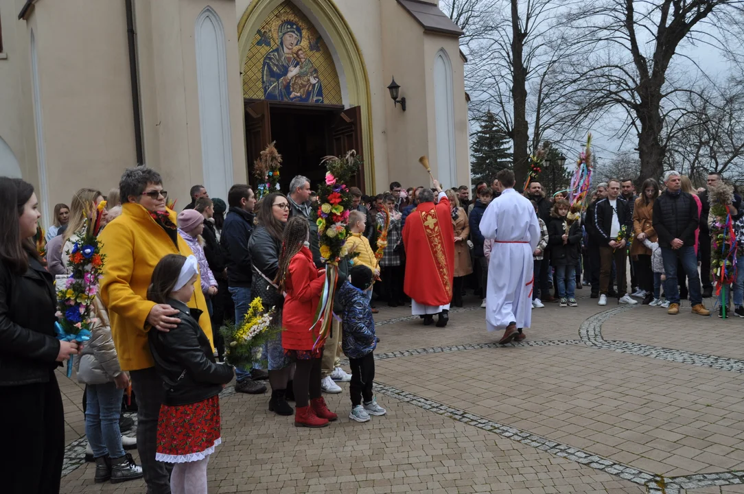 Parafianie w Przecławiu świętowali z pięknymi palmami własnego wykonania