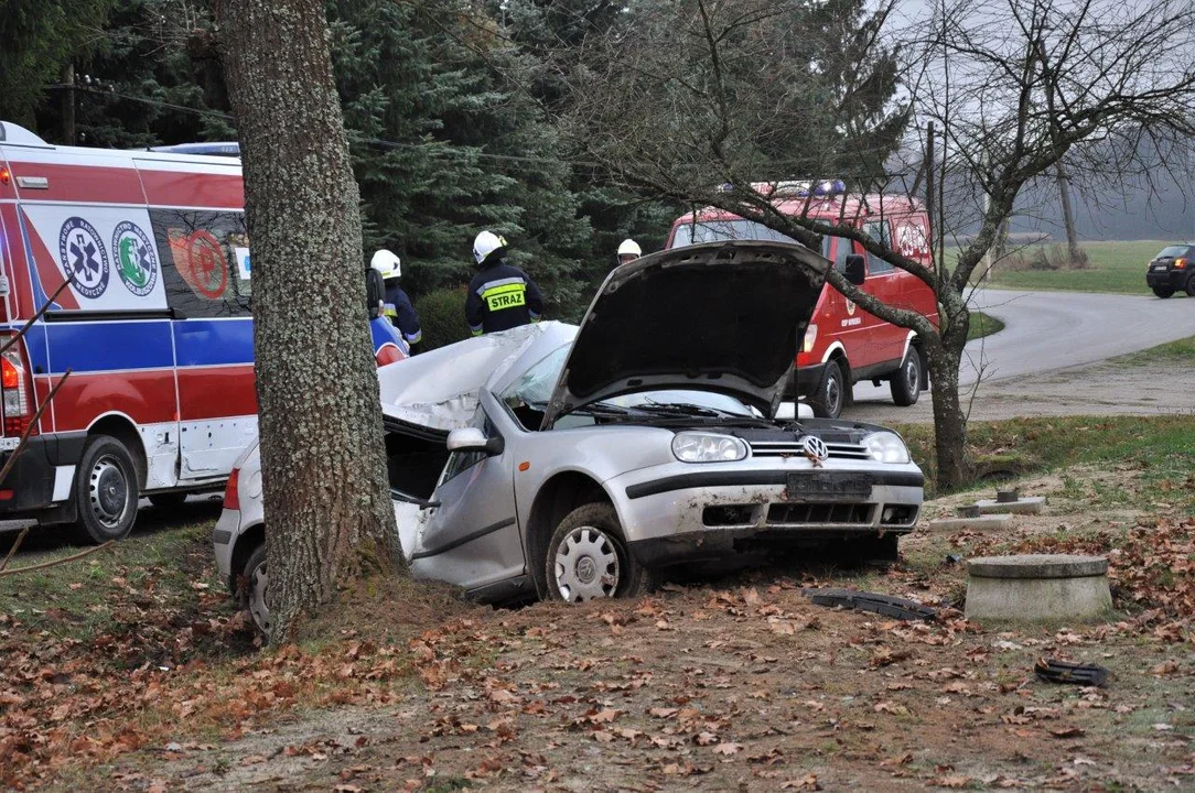 Wypadek w Zapolu w gminie Niwiska. Służby ratunkowe na miejscu [ZDJĘCIA] - Zdjęcie główne