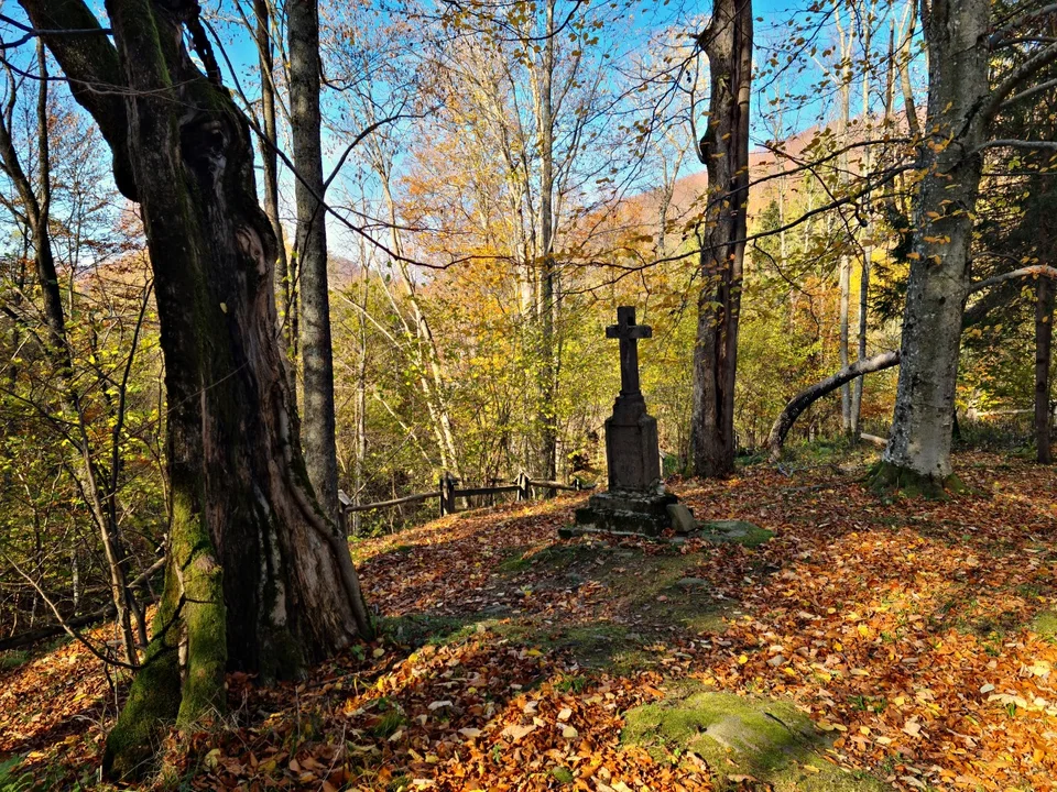 Niezwykle urokliwa dolina i opuszczony cmentarz w nieistniejącej już bieszczadzkiej wsi [ZDJĘCIA, WIDEO] - Zdjęcie główne
