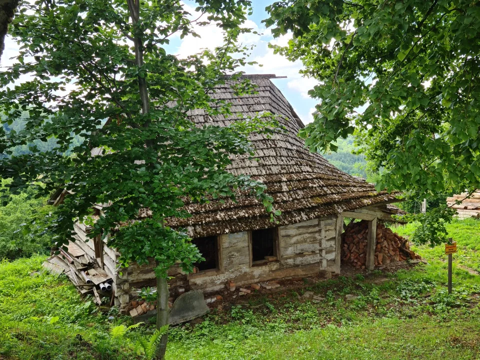 Bereźnica Wyżna - Brzezina (1977 - 1981)