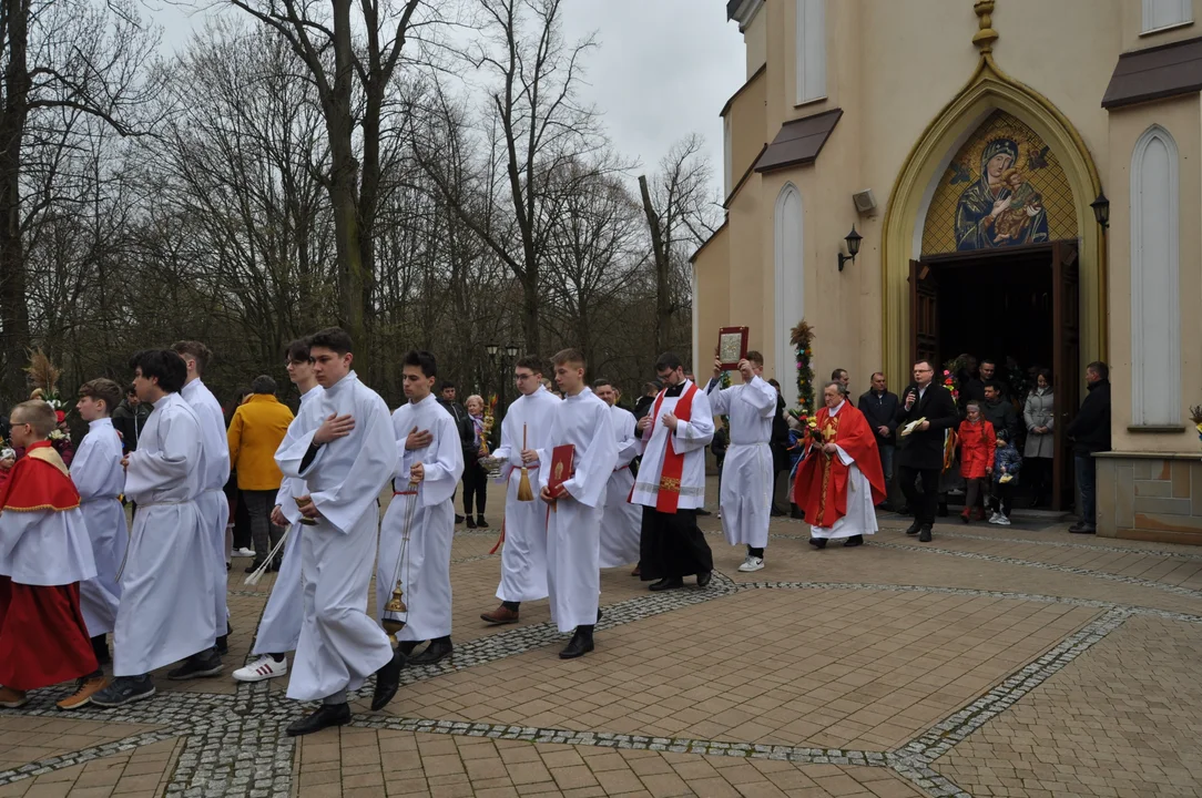 Parafianie w Przecławiu świętowali z pięknymi palmami własnego wykonania