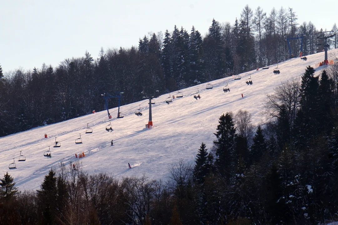 Gromadzyń w Ustrzykach Dolnych