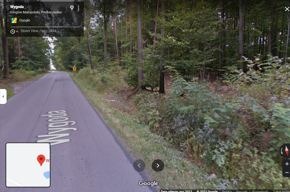 Tajemnicza postać w lesie w Głogowie Małopolskim uchwycona w Google Maps