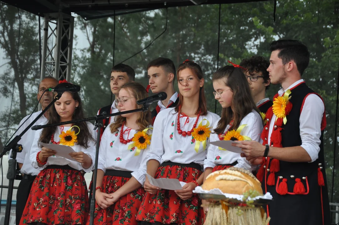 Kolorowo i głośno. Dożynki gminy Gawłuszowice [ZDJĘCIA] - Zdjęcie główne