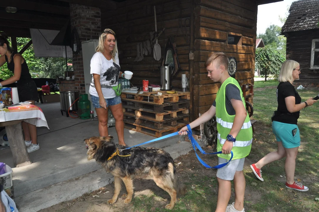 Niedziela w Czekadełku. Biegi i tłumy ludzi i psiaków [ZDJĘCIA] - Zdjęcie główne