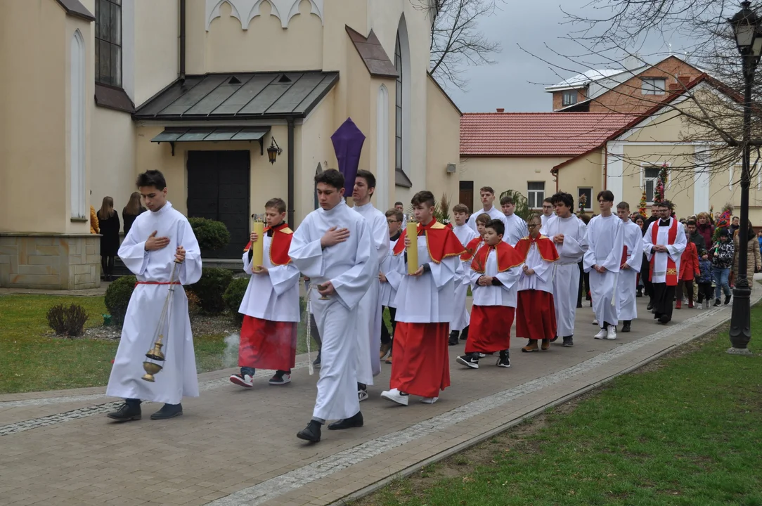 Parafianie w Przecławiu świętowali z pięknymi palmami własnego wykonania