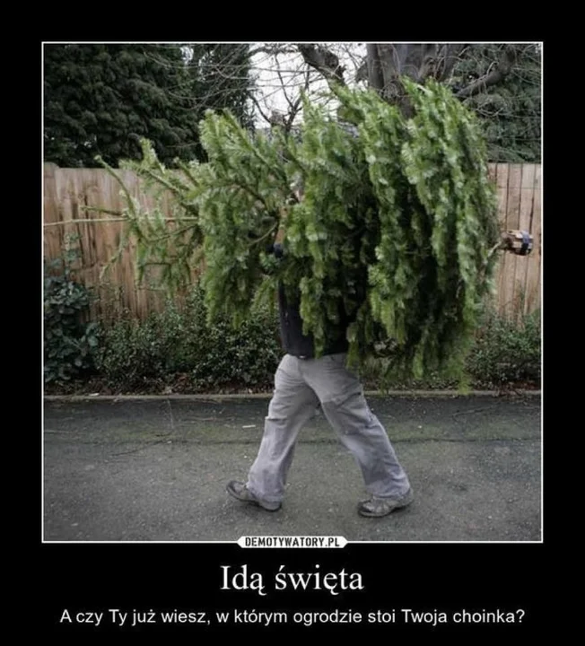 Memy na Święta Bożego Narodzenia