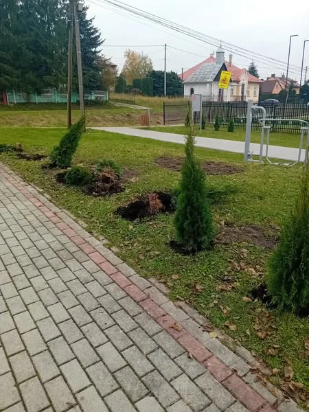 Akt wandalizmu w powiecie rzeszowskim