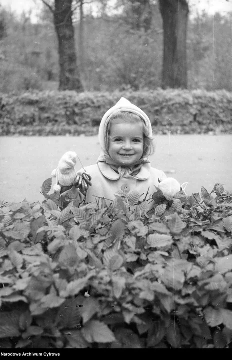Jesienne krajobrazy na archiwalnych fotografiach [ZDJĄCIA]