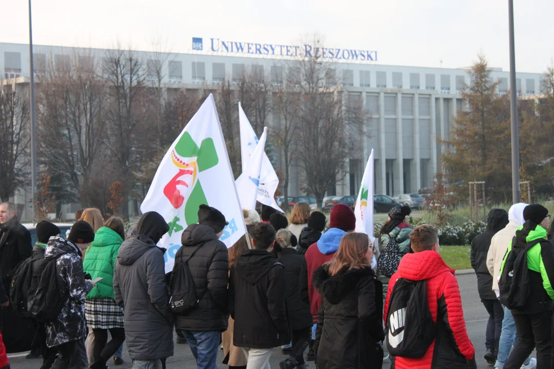 Światowy Dzień Młodzieży Diecezji Rzeszowskiej 2022