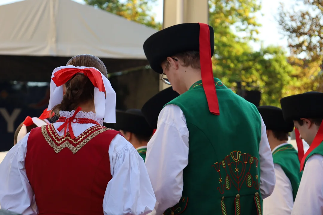 Zespoły Pieśni i Tańca