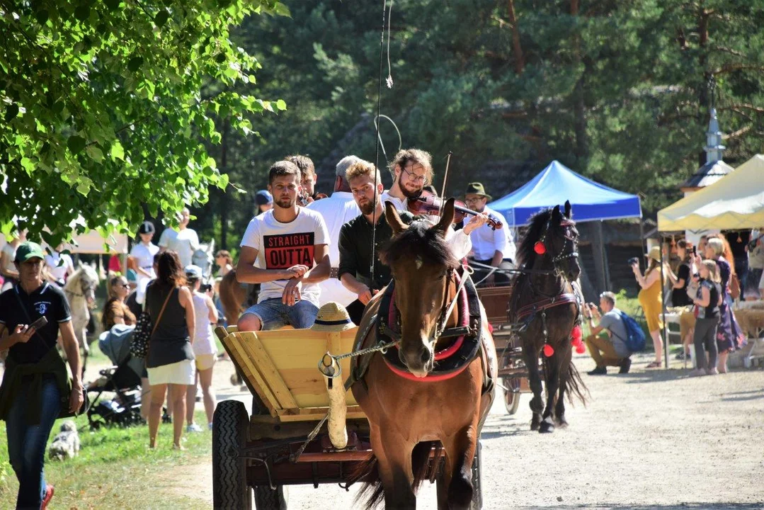 Tak bawili się mieszkańcy powiatu kolbuszowskiego