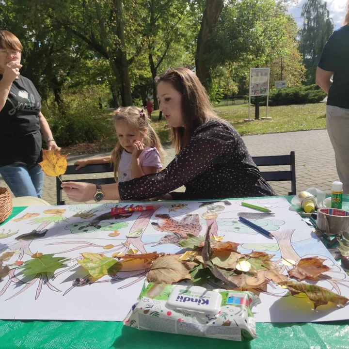 Leśna przygoda w parku Oborskich: Rodzinny piknik pełen atrakcji - Zdjęcie główne