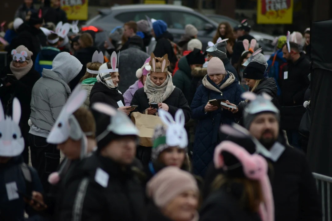 Rekord Polski dla Bartoszka Jędrasika chorego na SMA. W Tarnobrzegu zgromadziło się ponad 500 osób przebranych za króliki