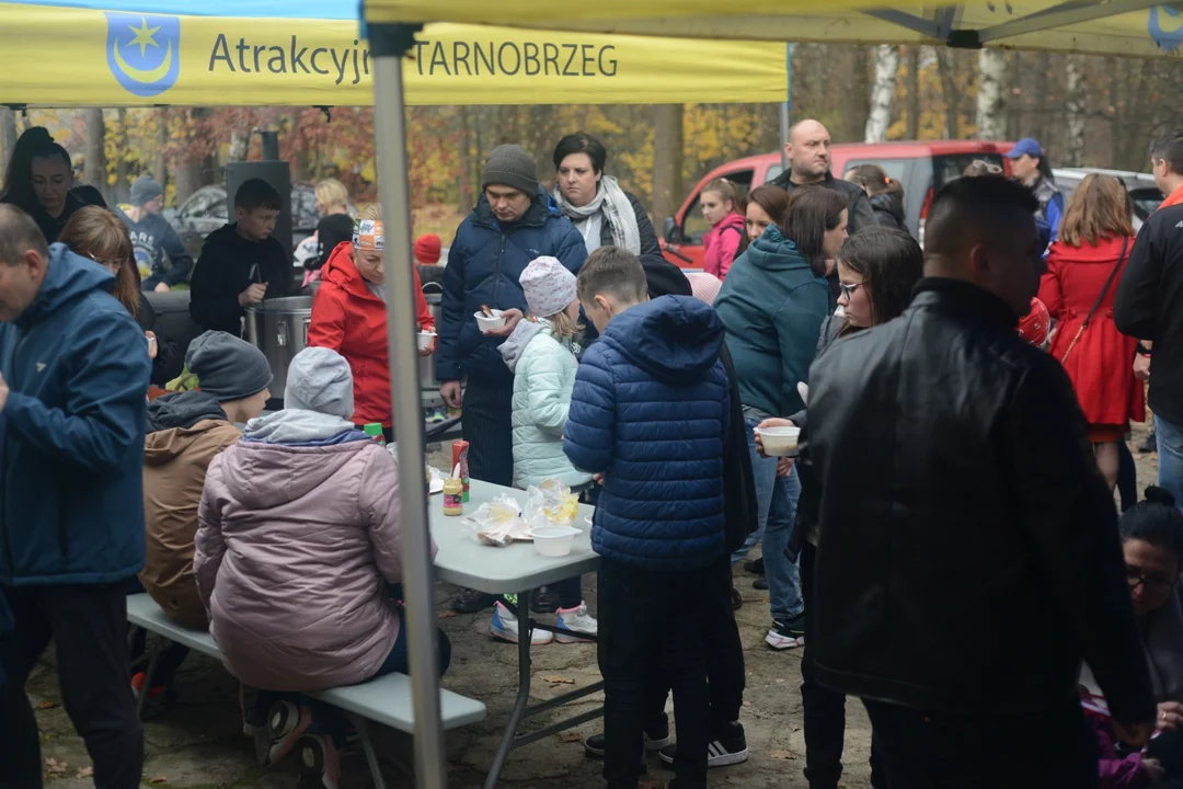 Bieg Historyczny "Dzieci dla Niepodległej" i piknik w Parku Dzikowskim - część 2