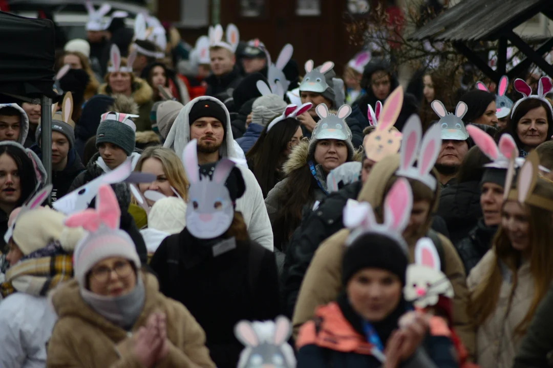 Rekord Polski dla Bartoszka Jędrasika chorego na SMA. W Tarnobrzegu zgromadziło się ponad 500 osób przebranych za króliki