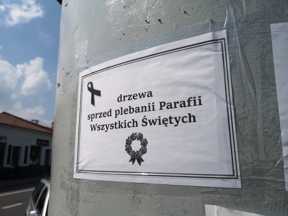 Nekrologi w Kolbuszowej przypominają o wyciętych drzewach [ZDJĘCIA] - Zdjęcie główne