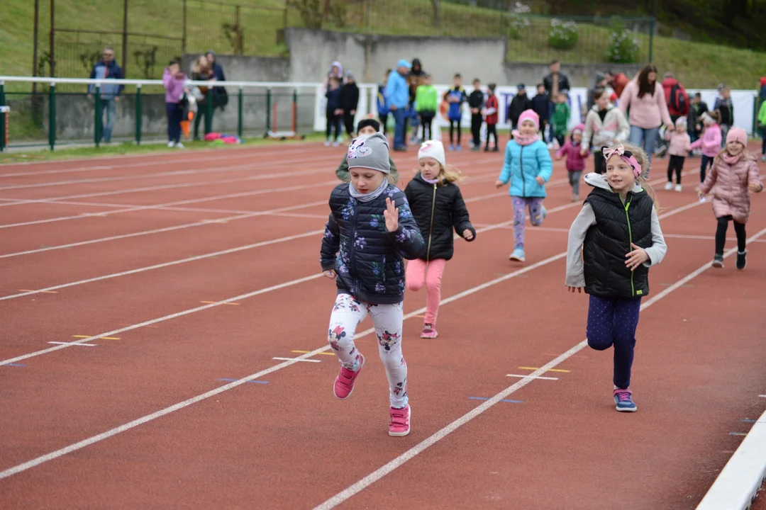 65. Otwarte Mistrzostwa Stalowej Woli w Lekkiej Atletyce