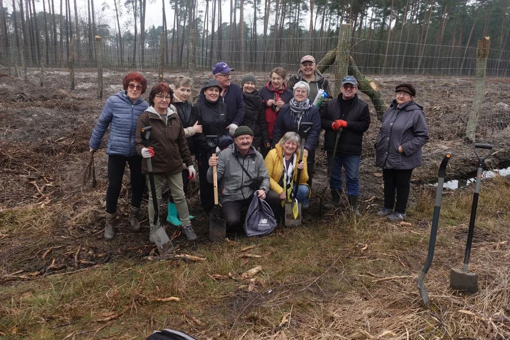 Członkowie Klubu Seniora "Natura" w Mielcu uczcili Międzynarodowy Dzień Lasów sadząc drzewa [ZDJĘCIA] - Zdjęcie główne