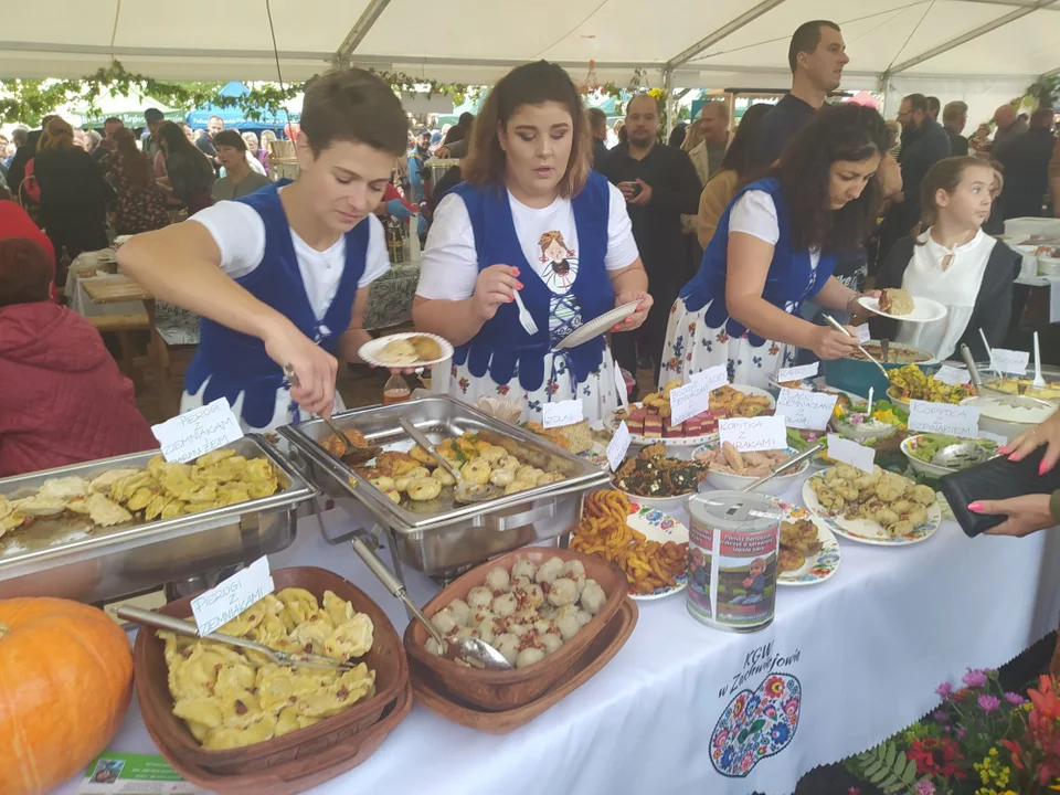 Dzień ziemniaka w Padwi Narodowej