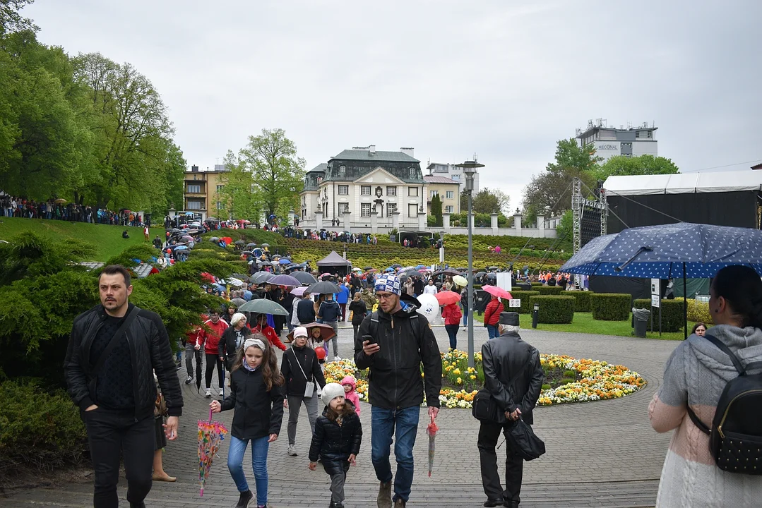 Festiwal Karpaty na Widelcu i Święto Paniagi przyciągnęły w Rzeszowie prawdziwe tłumy [ZDJĘCIA]