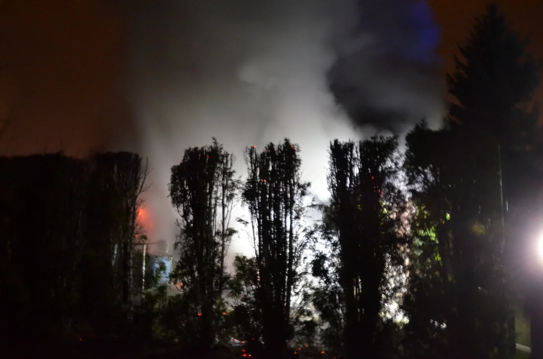 Pożar altanki w ogródku działkowym w Sosenkach