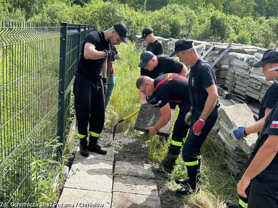 Pomoc dla schroniska dla psów