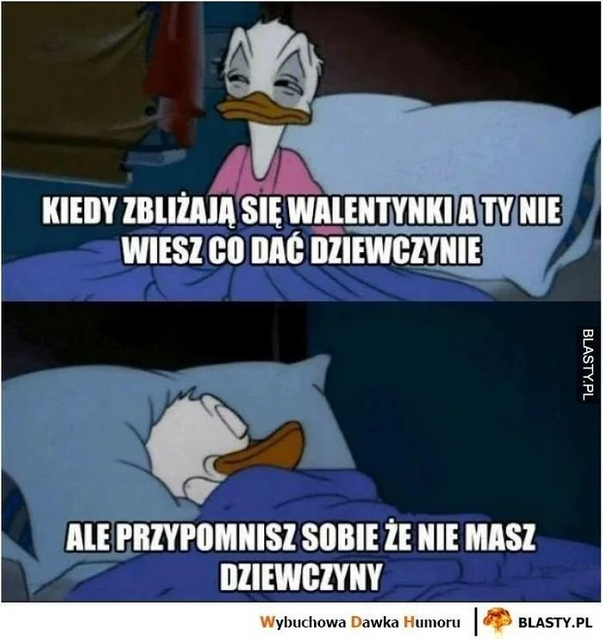 Walentynki, to czas pełen miłości, romantycznych gestów i… memów.