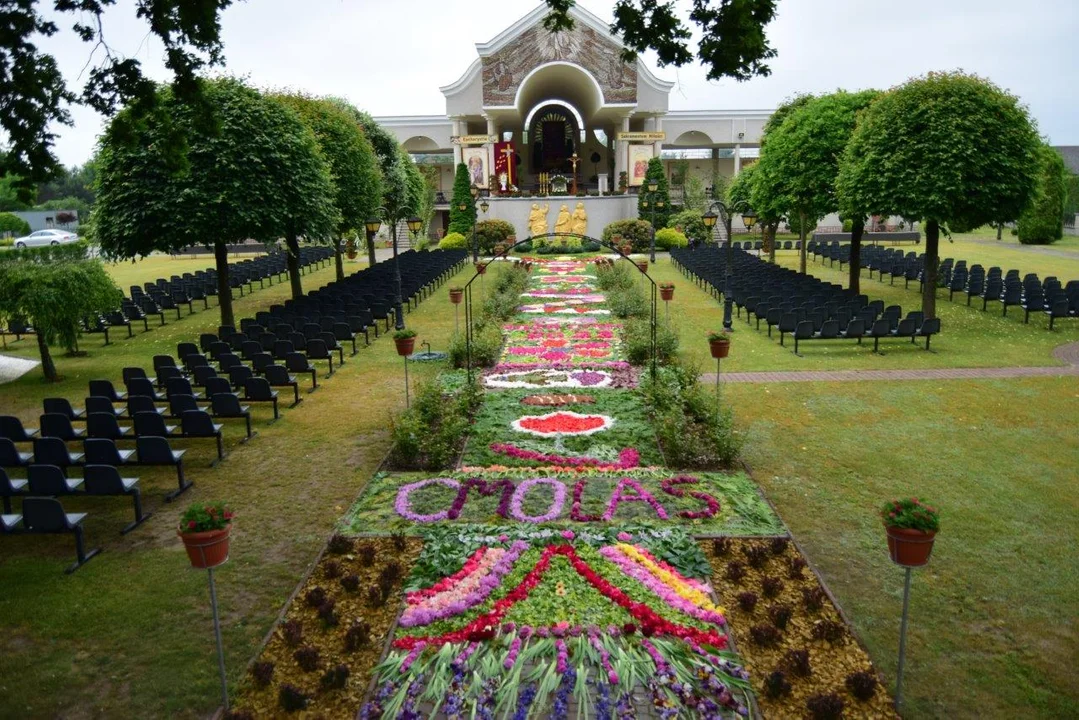 Niesamowity i niepowtarzalny dywan z żywych kwiatów w Cmolasie. Boże Ciało 2023 [ZDJĘCIA - WIDEO] - Zdjęcie główne