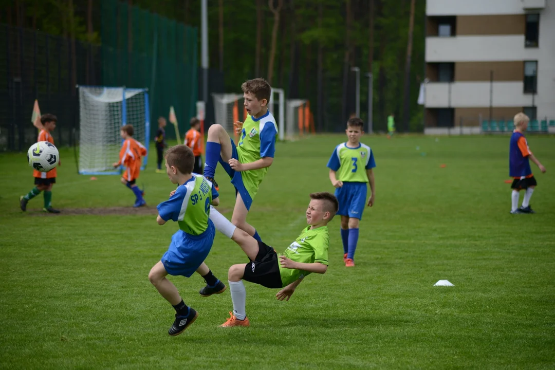 Finał Turnieju "Z Podwórka na Stadion" o Puchar Tymbarku w Stalowej Woli. Wielkie emocje z udziałem ponad 100 ekip z całego Podkarpacia [ZDJĘCIA] - Zdjęcie główne