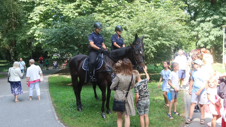 Piknik Wojskowy w Rzeszowie. Byłeś? Znajdź się na zdjęciach