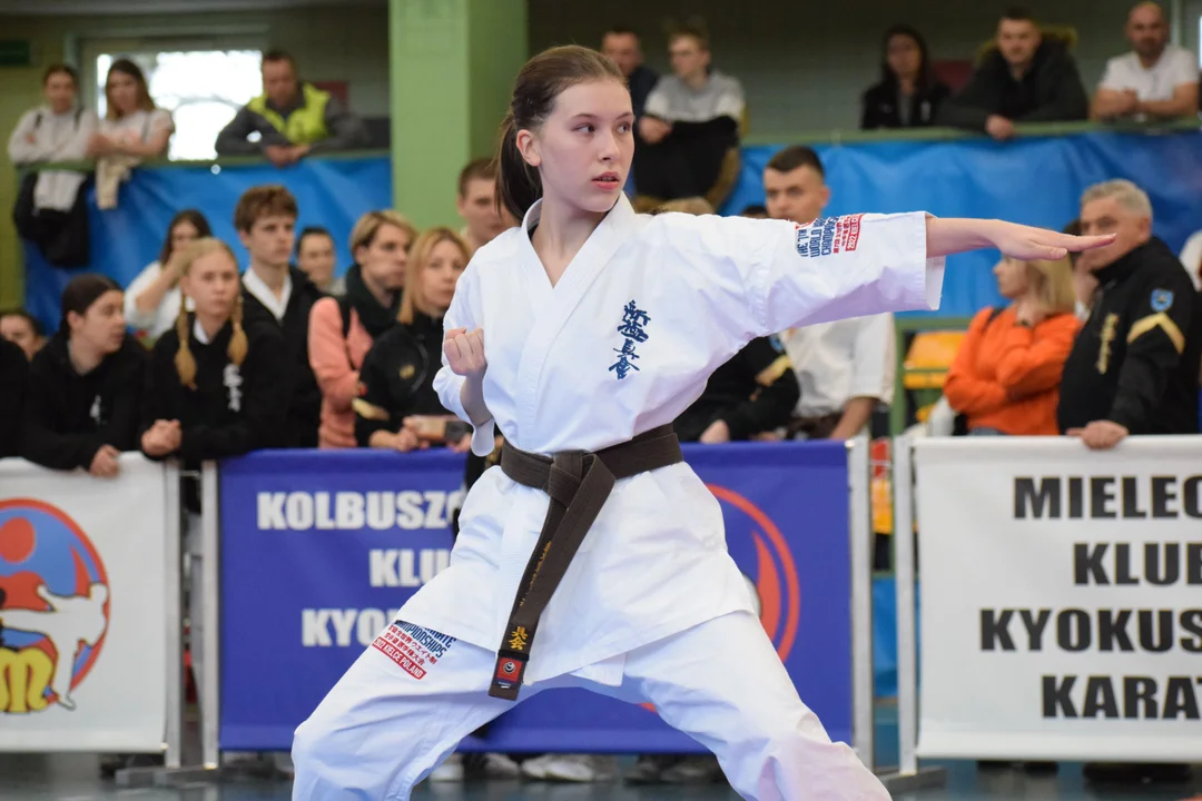 Do Mielca przyjechało 250 sympatyków Karate. Na Mistrzostwa Europy pojedzie po dwóch zawodników z każdej kategorii [ZDJĘCIA, VIDEO] - Zdjęcie główne