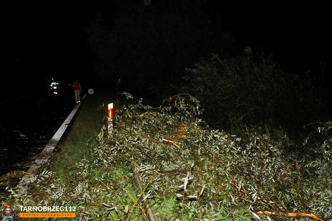 Zniszczenia po nocnej burzy na Podkarpaciu