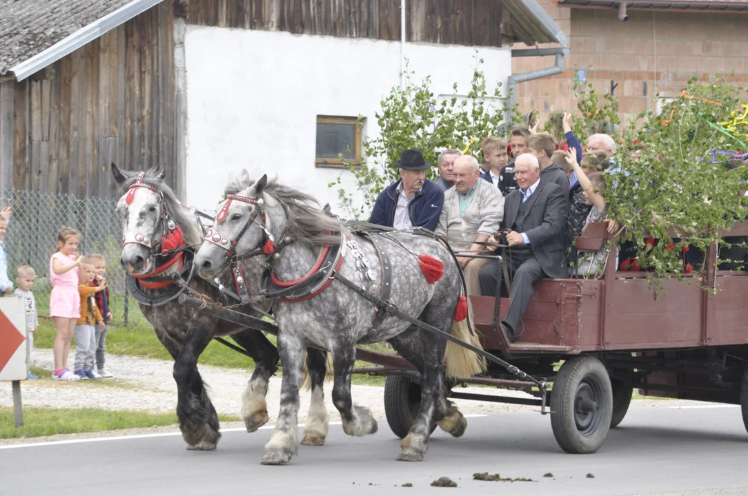 Parada konna w Żarówce