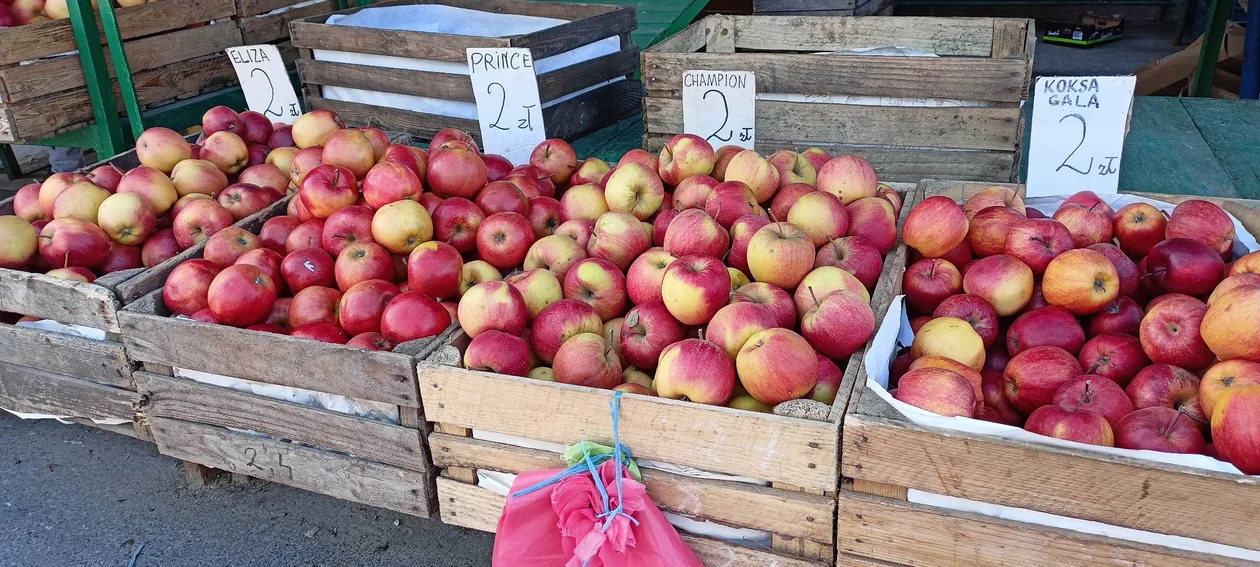 Warzywa i owoce sezonowe przy hali targowej. Jak wypadają cenowo?