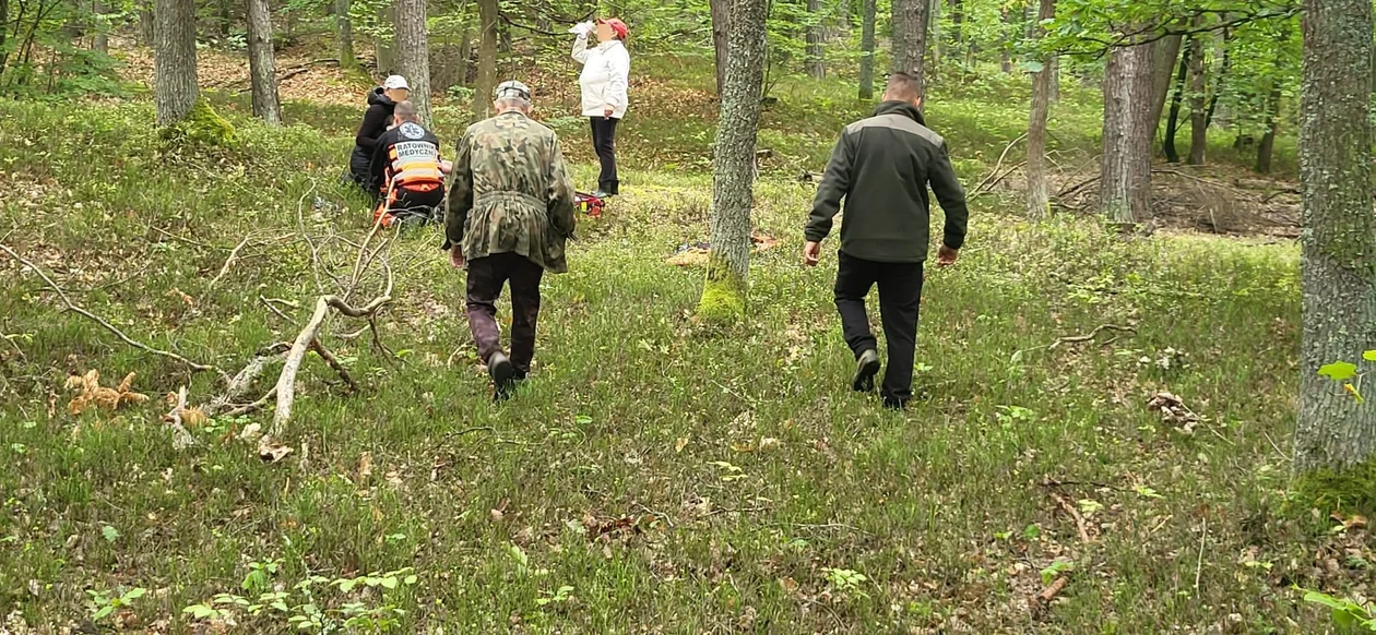 Grzybiarze zastawili wjazd karetce pogotowia do lasu
