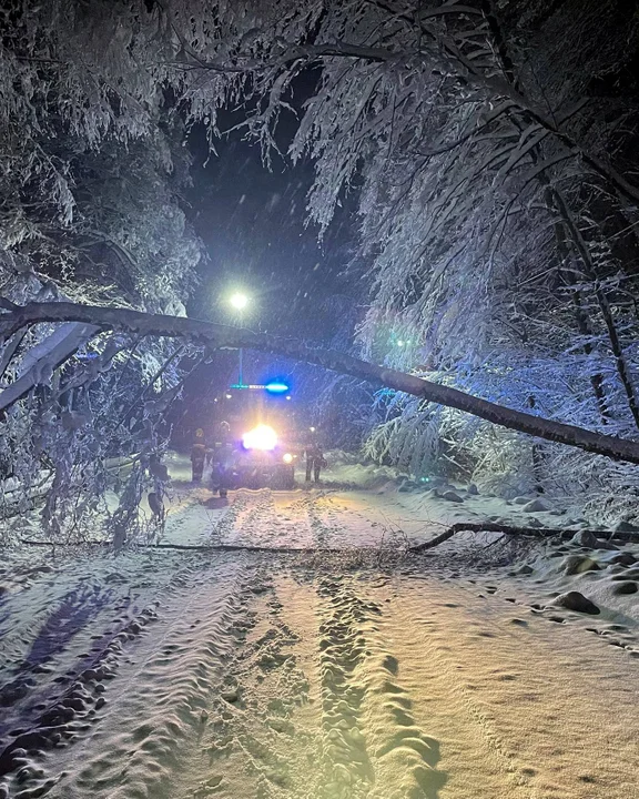 Trudne dni za strażakami z Podkarpacia. Silny wiatr, ciężki śnieg i mnóstwo szkód [ZDJĘCIA]