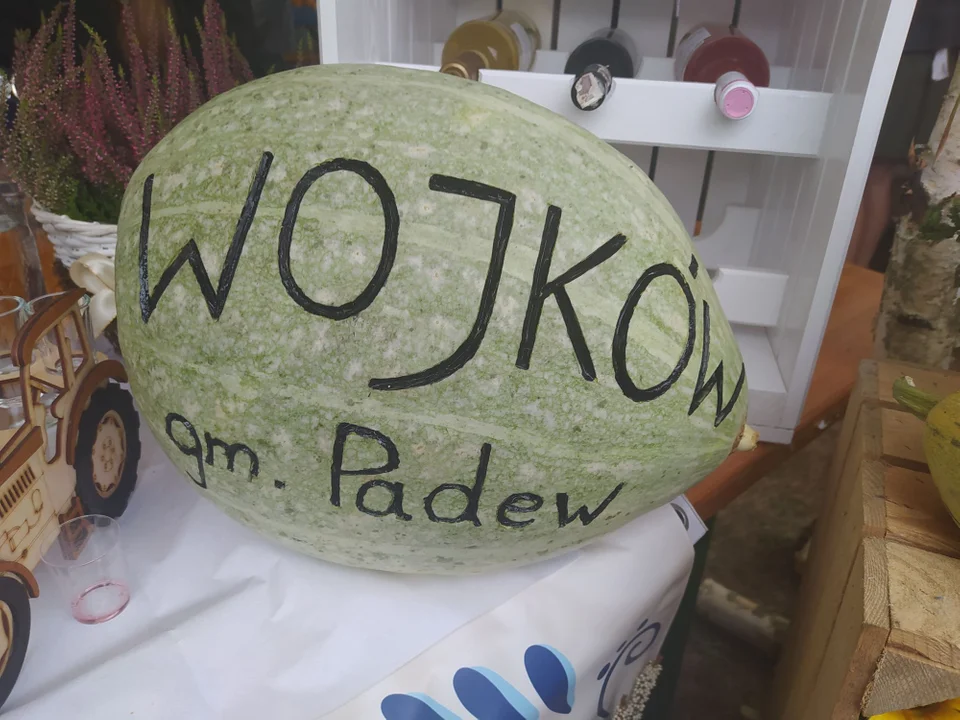 Dzień ziemniaka w Padwi Narodowej