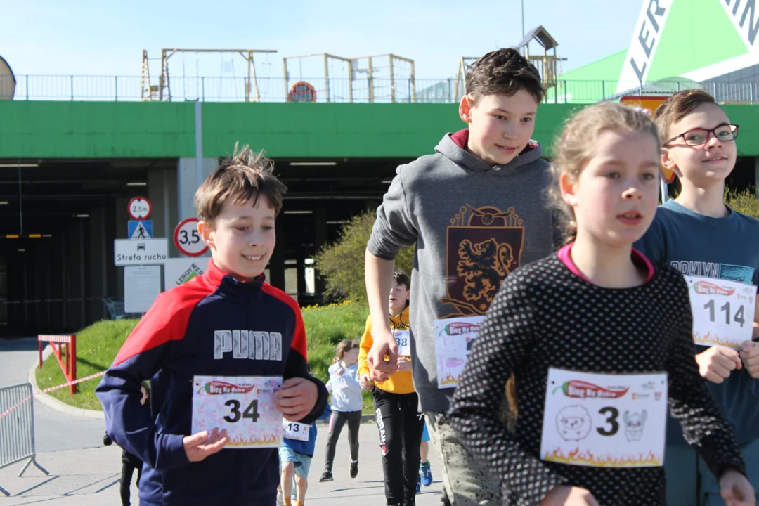 II Charytatywny Bieg Na Ostro w Rzeszowie. Sportowa zabawa dla dzieci i dorosłych