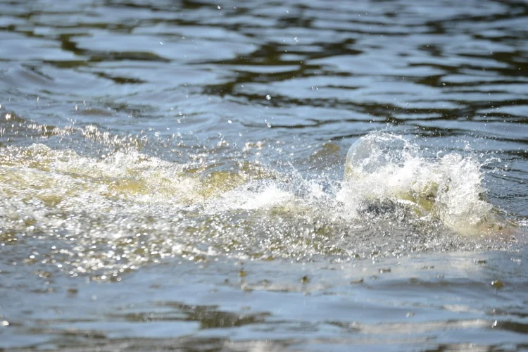 III Triathlon im. Aleksandra Ładosia w Głogowie Małopolskim
