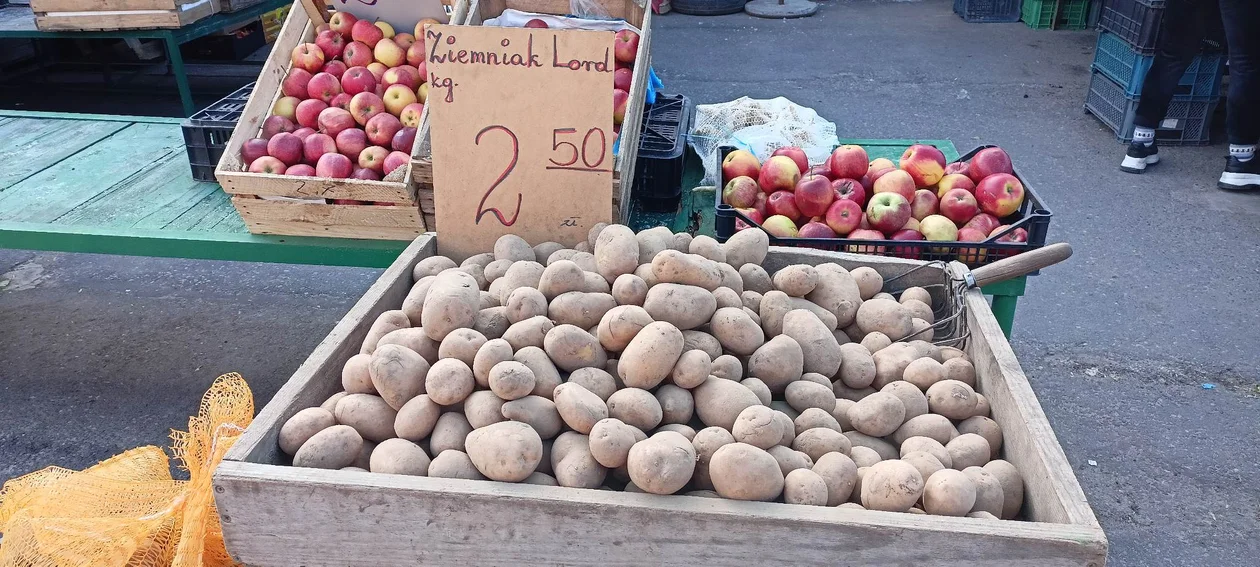 Warzywa i owoce sezonowe przy hali targowej. Jak wypadają cenowo?