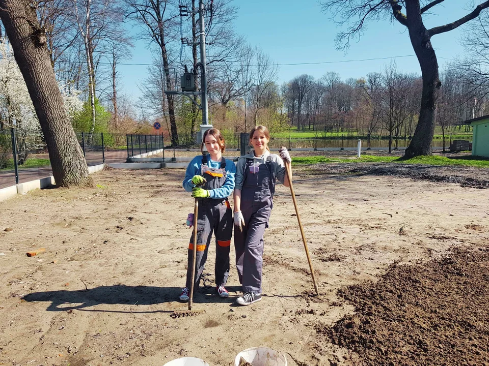 Kwietna łąka w Weryni