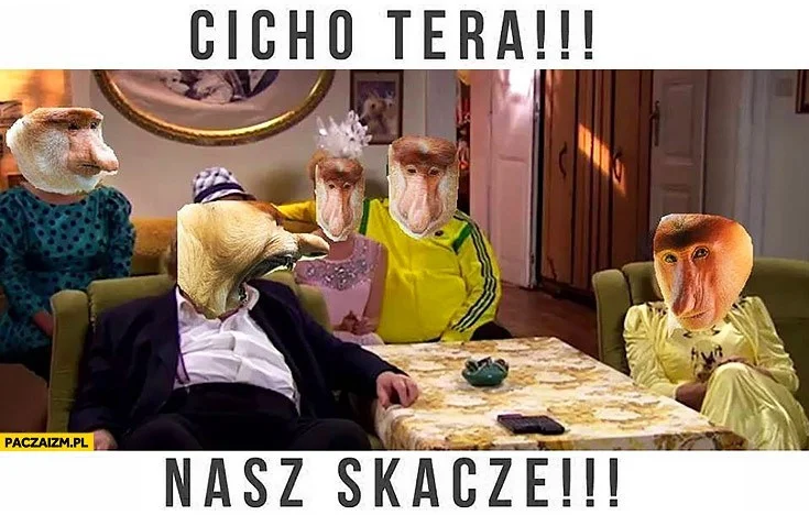 Turniej Czterech Skoczni za nami! Zobacz najlepsze MEMY od Internautów [ZDJĘCIA]